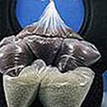 Low Melt Point Bags